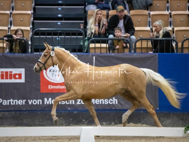 Impressionen PSB Samstag unsortiert 23