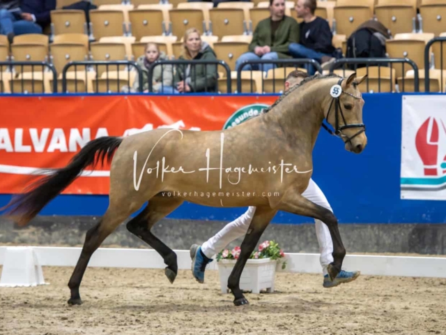 Impressionen PSB Samstag unsortiert 24