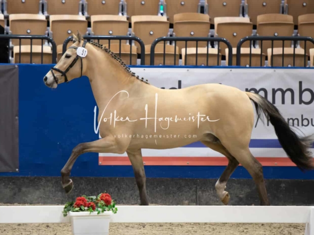 Impressionen PSB Samstag unsortiert 25