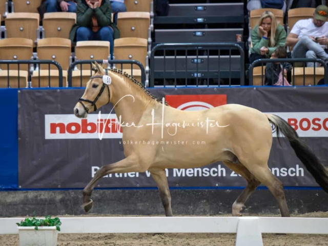 Impressionen PSB Samstag unsortiert 26