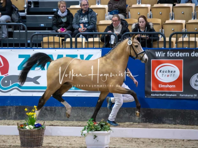 Impressionen PSB Samstag unsortiert 28