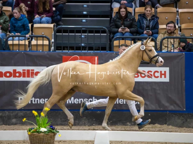 Impressionen PSB Samstag unsortiert 29