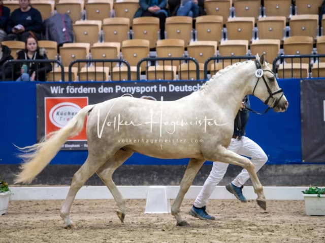 Impressionen PSB Samstag unsortiert 30