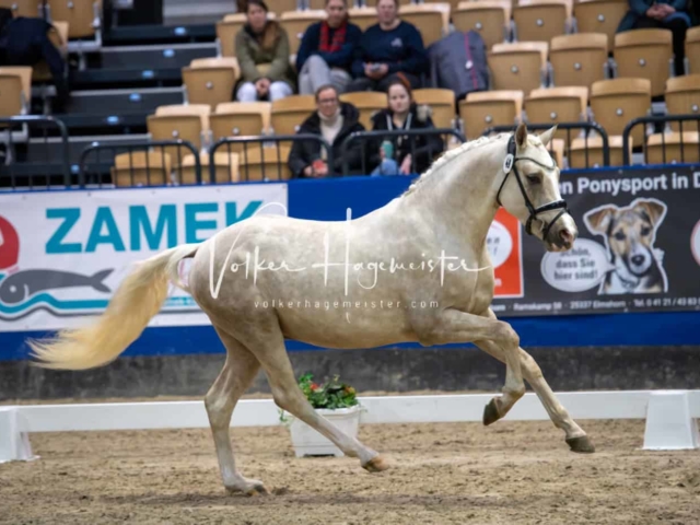 Impressionen PSB Samstag unsortiert 1