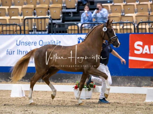 Impressionen PSB Samstag unsortiert 2