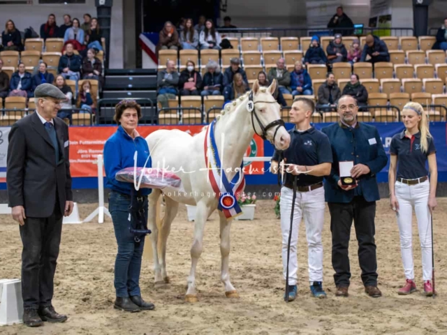 PSB Körung Schärpenträger 11