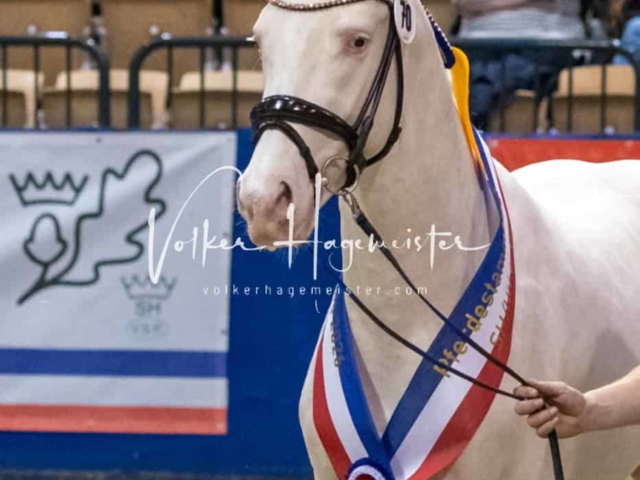 PSB Körung Schärpenträger 12
