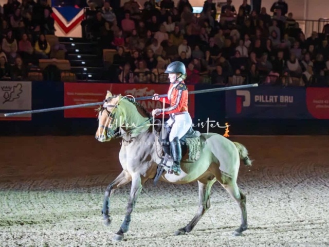 PSB Schaunachmittag 29