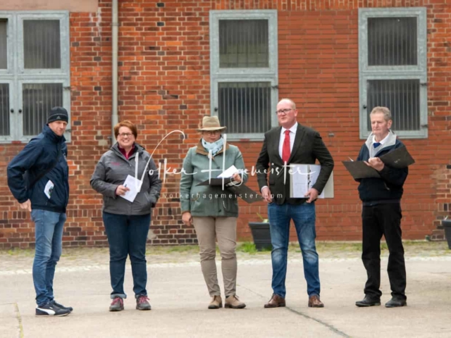 ZfdP Körung Verden Vormittags 2