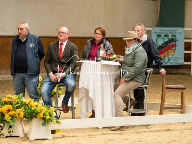 ZfdP Körung Verden Nachmittags 16