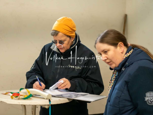 ZfdP Körung Verden Vormittags 6