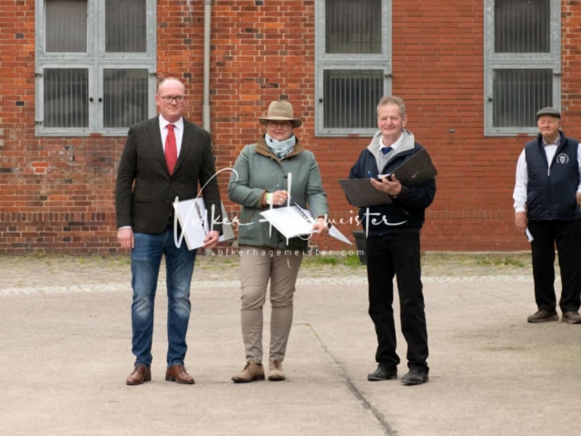 ZfdP Körung Verden Vormittags 5
