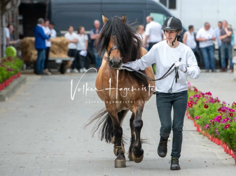 ZfdP Sommerkörung Grevenbroich Fotos 3