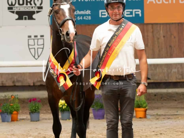 ZfdP Sommerkörung Grevenbroich 15