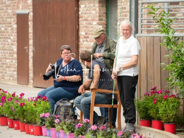 ZfdP Sommerkörung Grevenbroich 28
