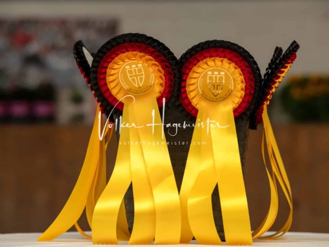 ZfdP Sommerkörung Grevenbroich 4