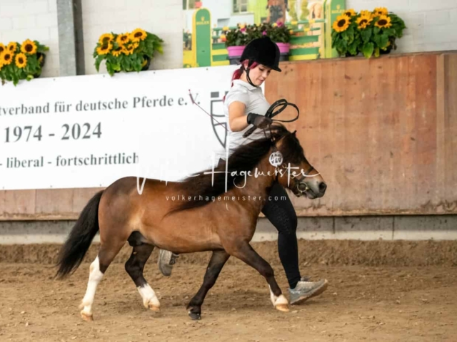 ZfdP Sommerkörung Grevenbroich 5