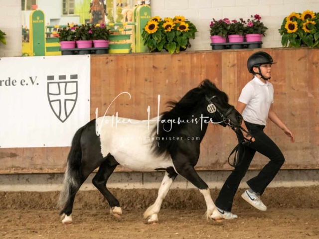 ZfdP Sommerkörung Grevenbroich 16