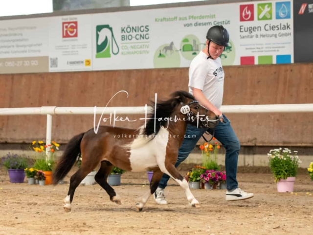 ZfdP Sommerkörung Grevenbroich 29