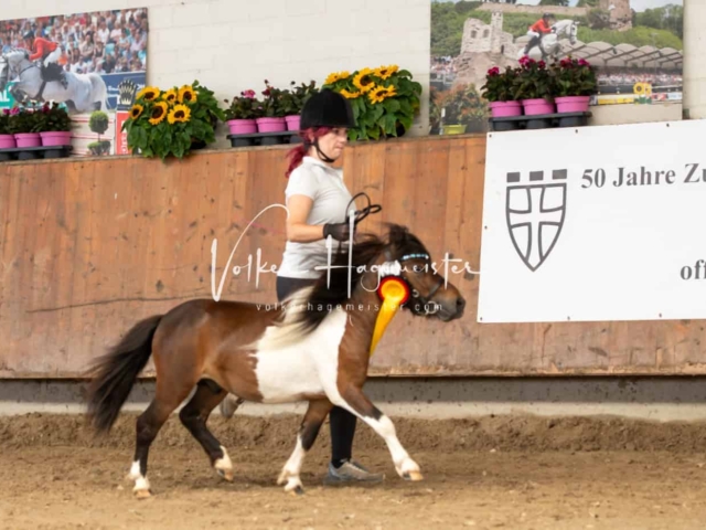 ZfdP Sommerkörung Grevenbroich 30