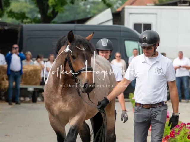 ZfdP Sommerkörung Grevenbroich 21
