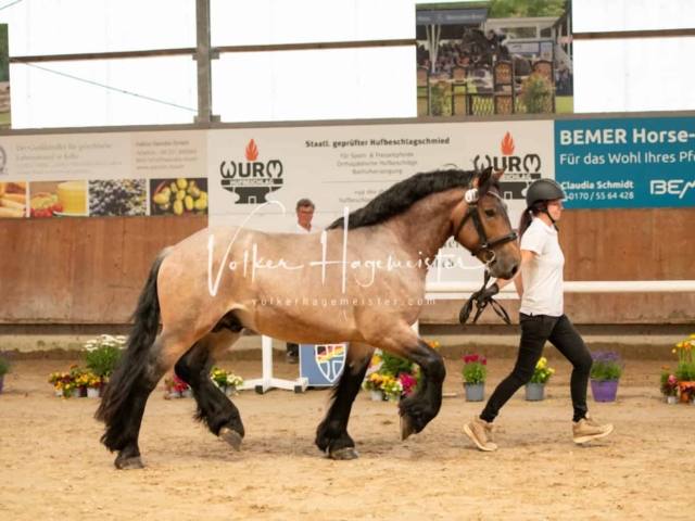 ZfdP Sommerkörung Grevenbroich 23