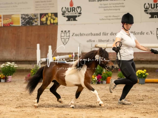 ZfdP Sommerkörung Grevenbroich 3