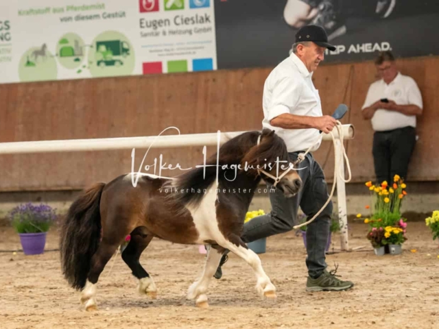 ZfdP Sommerkörung Grevenbroich 16