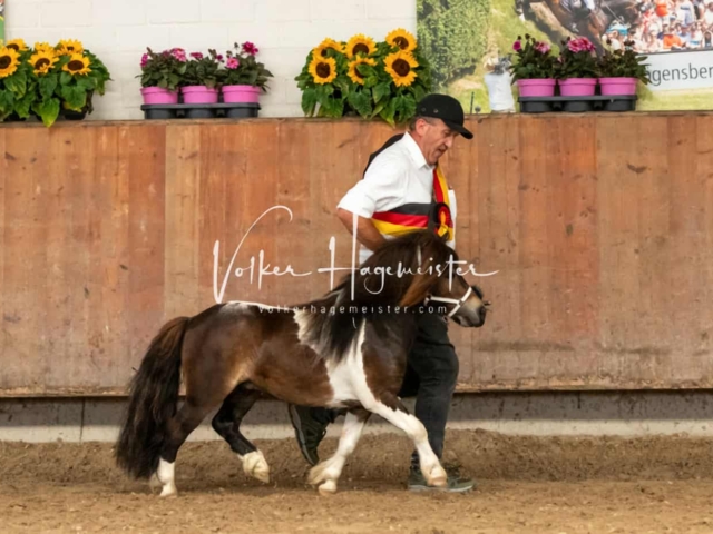 ZfdP Sommerkörung Grevenbroich 20