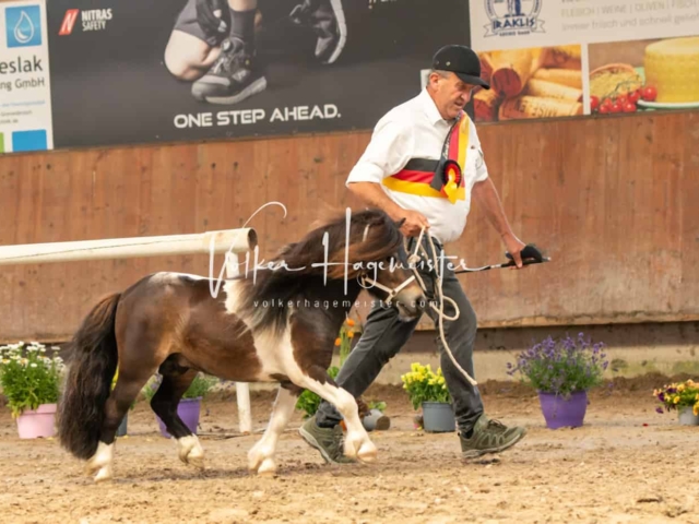 ZfdP Sommerkörung Grevenbroich 21