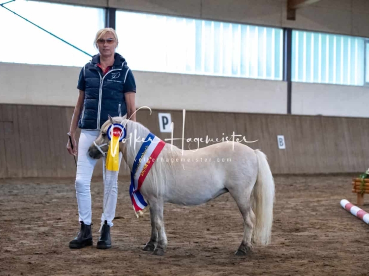 PSB Eliteschau Siegerstuten Fotos 1
