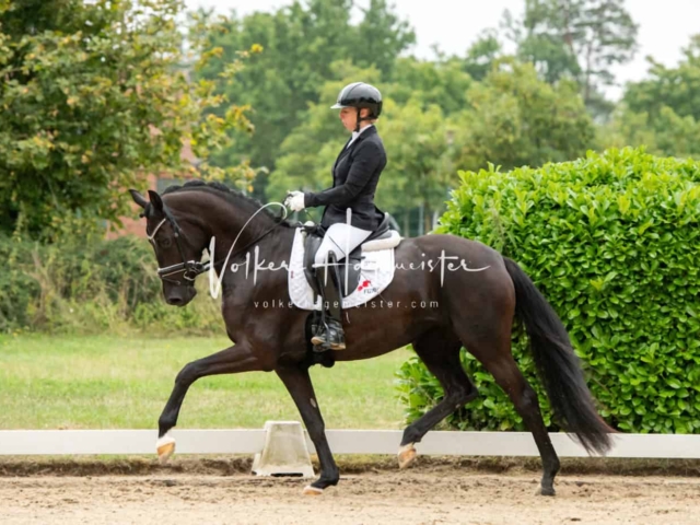 ZfdP Bundesturnier Champions 1