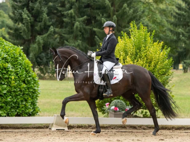 ZfdP Bundesturnier Champions 2
