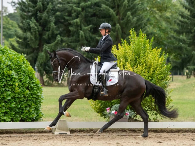 ZfdP Bundesturnier Champions 3