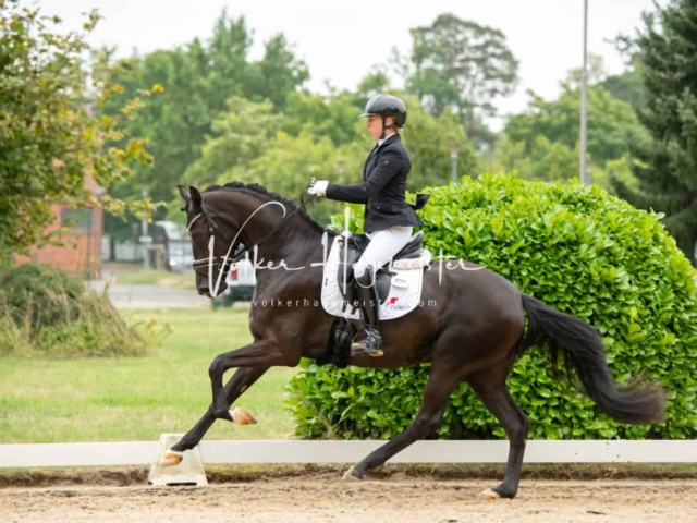 ZfdP Bundesturnier Champions 4