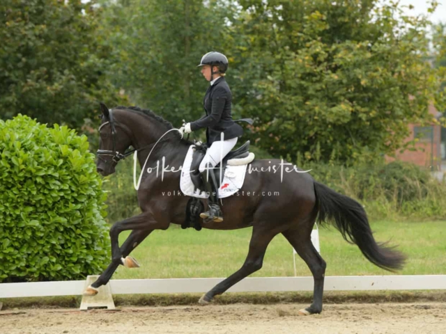 ZfdP Bundesturnier Champions 5
