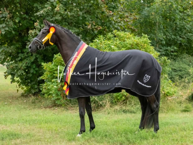 ZfdP Bundesturnier Champions 7