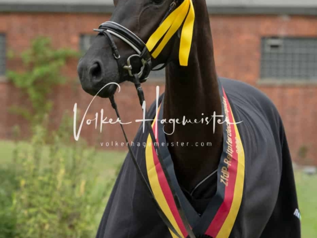 ZfdP Bundesturnier Champions 8