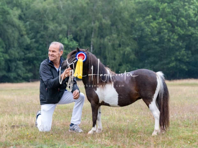 PSB Eliteschau Siegerstuten 12