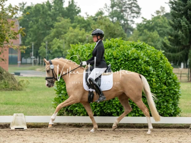 ZfdP Bundesturnier Champions 10