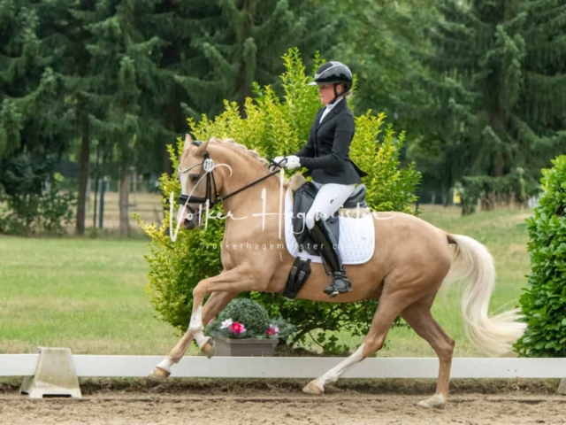 ZfdP Bundesturnier Champions 11