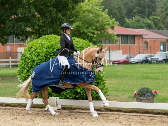 ZfdP Bundesturnier Champions 13