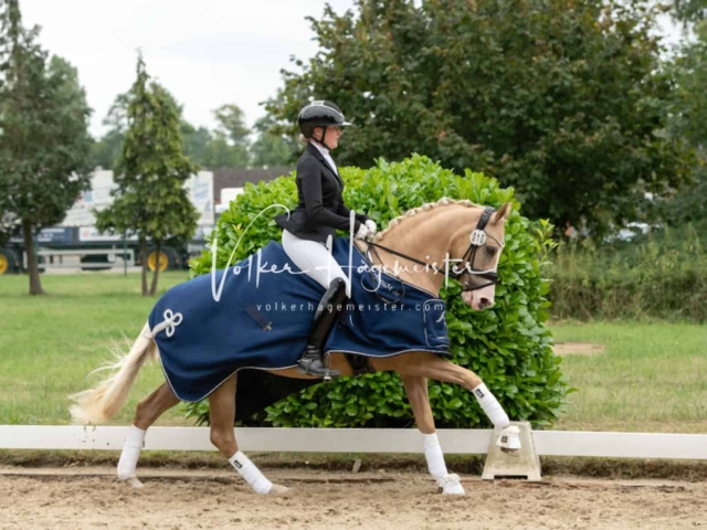 ZfdP Bundesturnier Champions 14