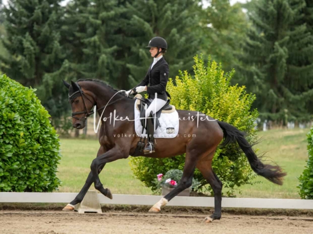 ZfdP Bundesturnier Champions 20