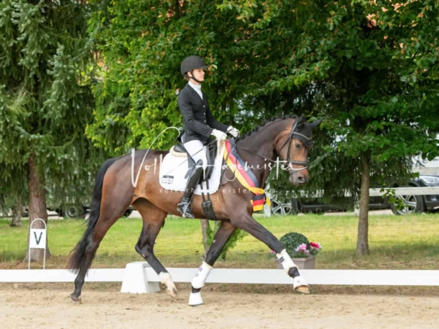 ZfdP Bundesturnier Champions 17
