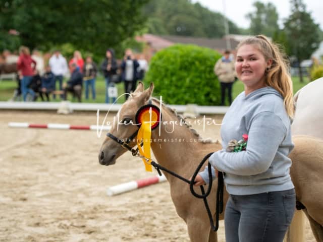 ZfdP Landesschau Fohlenchampionat 20