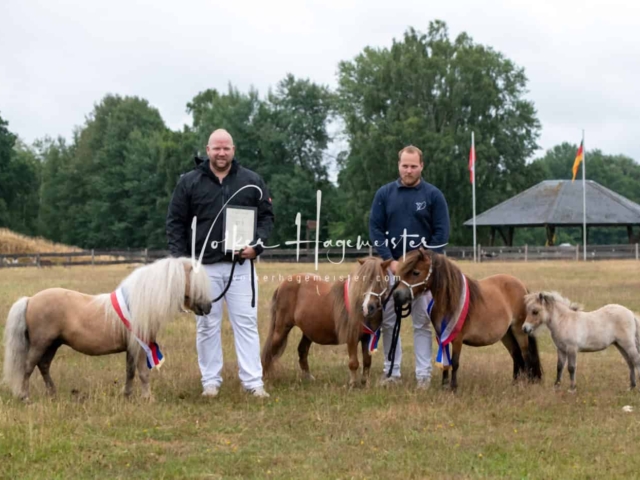 PSB Eliteschau Siegerstuten 21