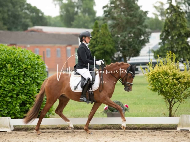 ZfdP Bundesturnier Champions 23