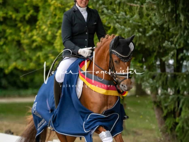 ZfdP Bundesturnier Champions 25