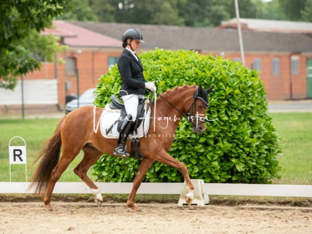 ZfdP Bundesturnier Champions 26